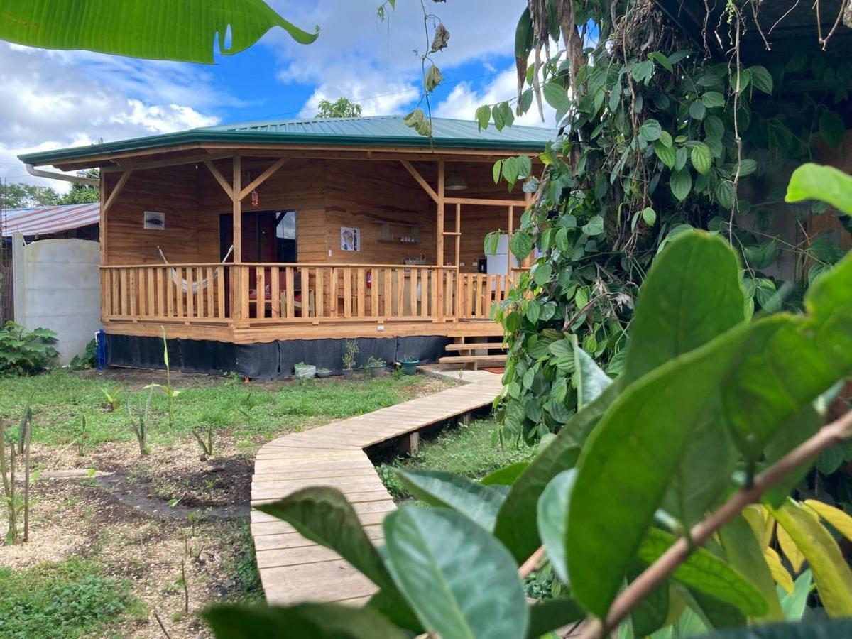 Bungalows Baobab San Isidro De El General Экстерьер фото